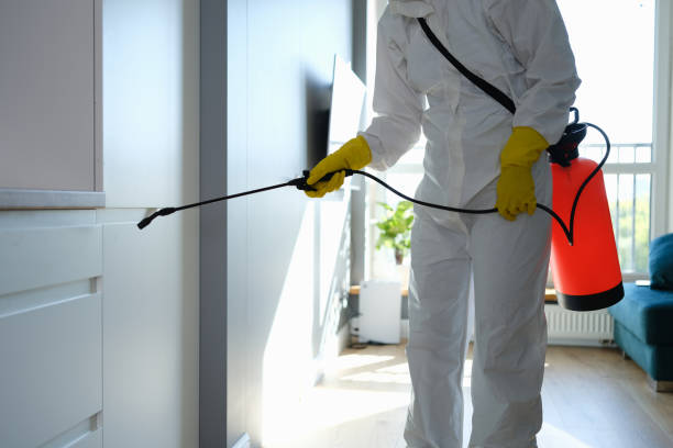 Certified Mold Removal in Lewisville, WA